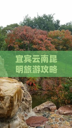 宜宾去云南昆明团体旅游