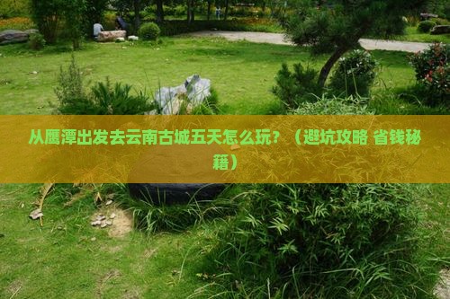 鹰潭到云南古城五日游
