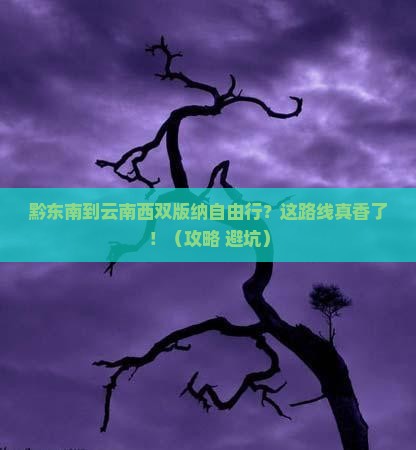 黔东南到云南西双版纳自由行