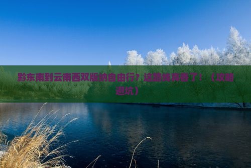 黔东南到云南西双版纳自由行