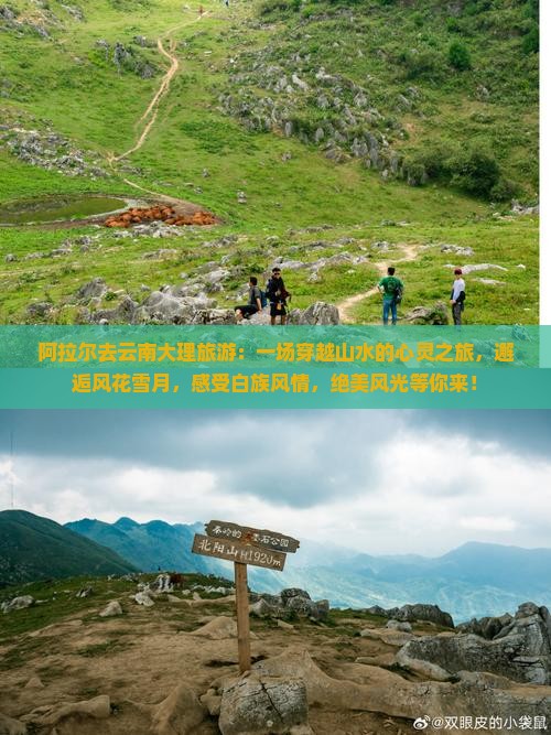 阿拉尔去云南大理旅游