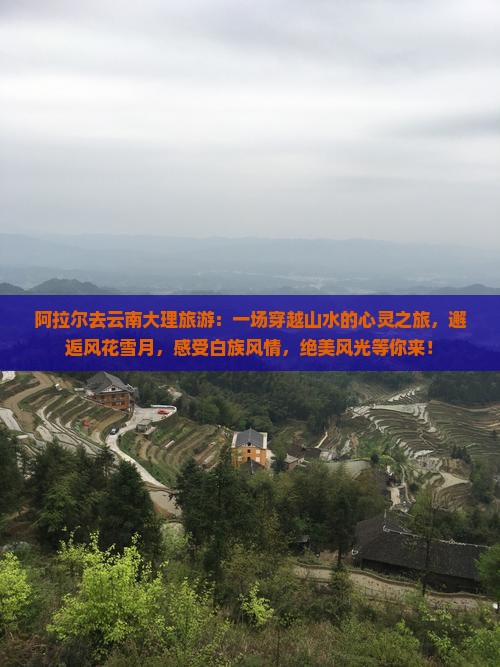 阿拉尔去云南大理旅游