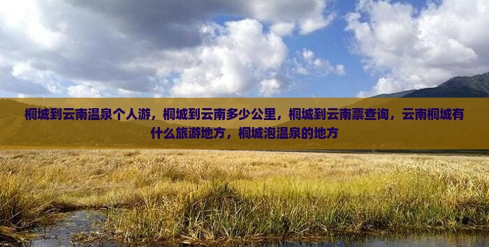 桐城到云南温泉个人游