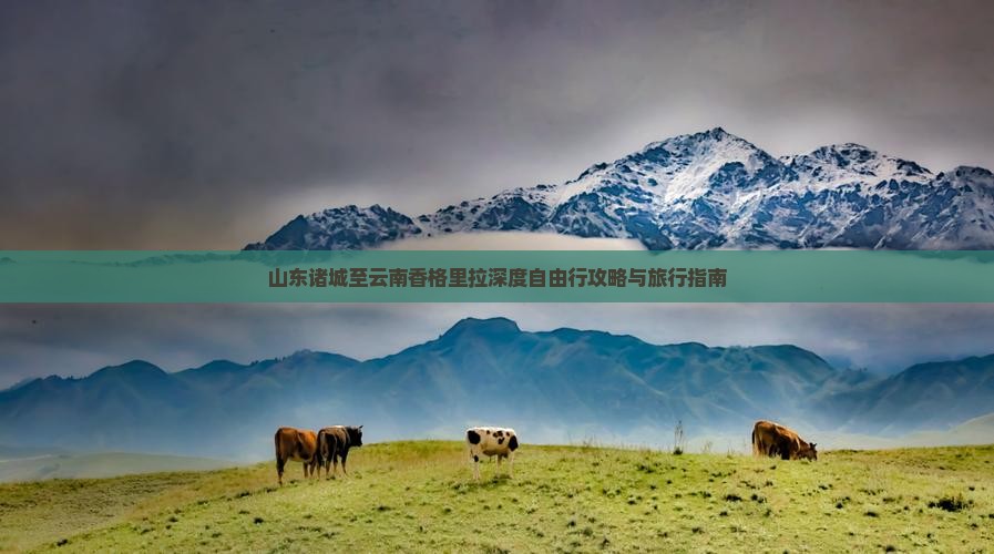 山东诸城至云南香格里拉深度自由行攻略与旅行指南