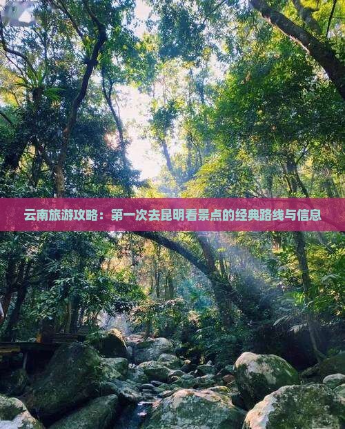 云南旅游攻略：第一次去昆明看景点的经典路线与信息