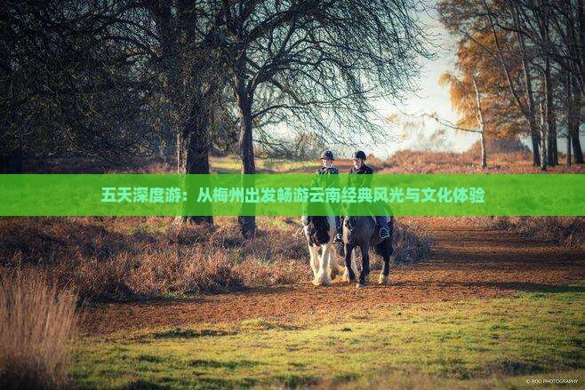 五天深度游：从梅州出发畅游云南经典风光与文化体验