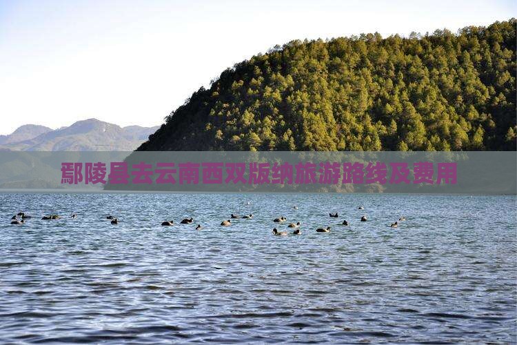鄢陵县去云南西双版纳旅游路线及费用