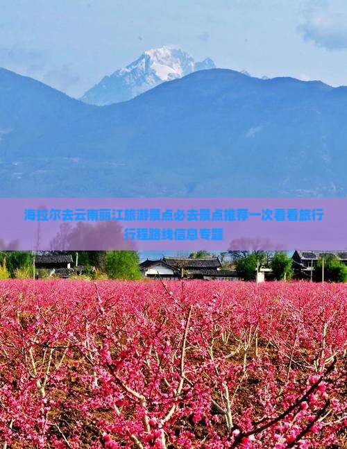 海拉尔去云南丽江旅游景点必去景点推荐一次看看旅行行程路线信息专题