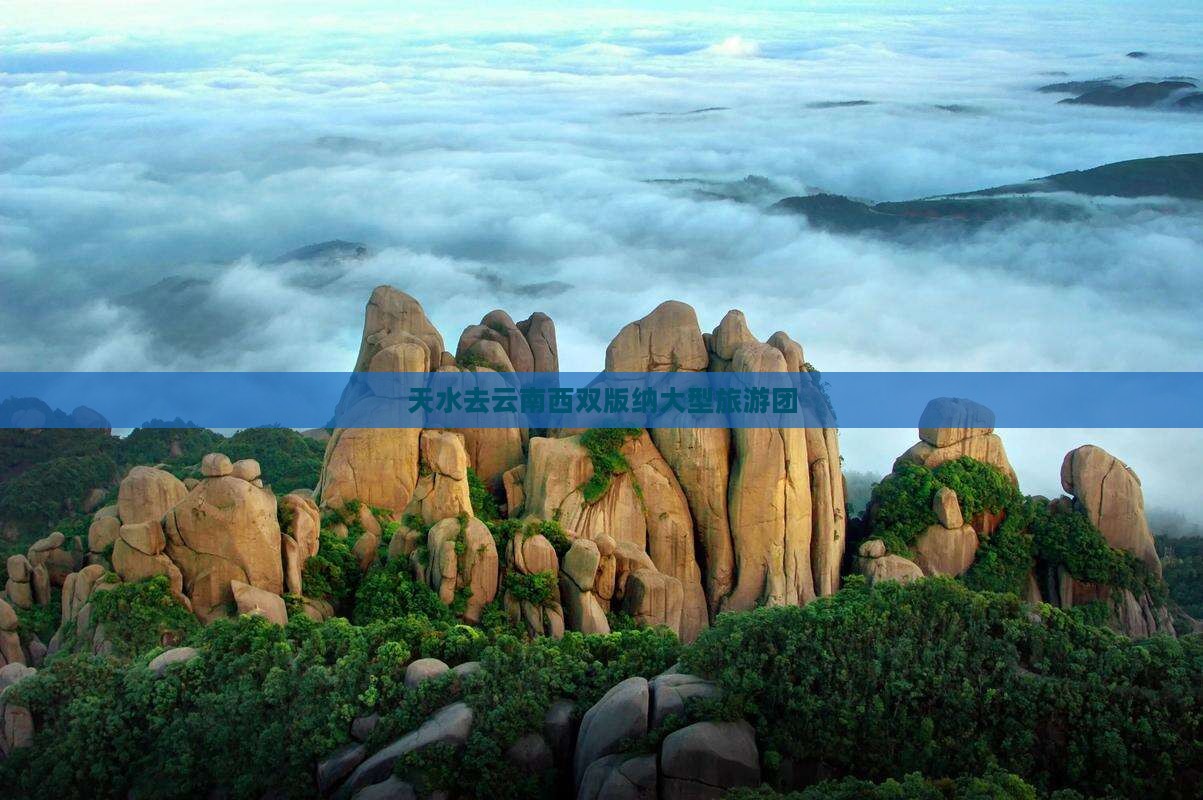 天水去云南西双版纳大型旅游团