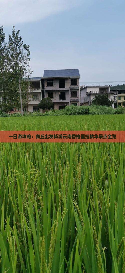 一日游攻略：商丘出发畅游云南香格里拉精华景点全览