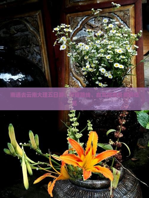 南通去云南大理五日游：行程路线、自驾指南及费用概览