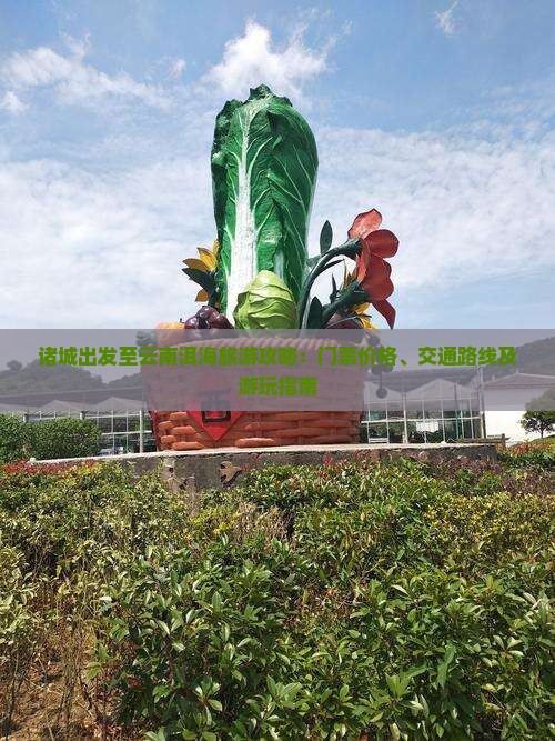 诸城出发至云南洱海旅游攻略：门票价格、交通路线及游玩指南