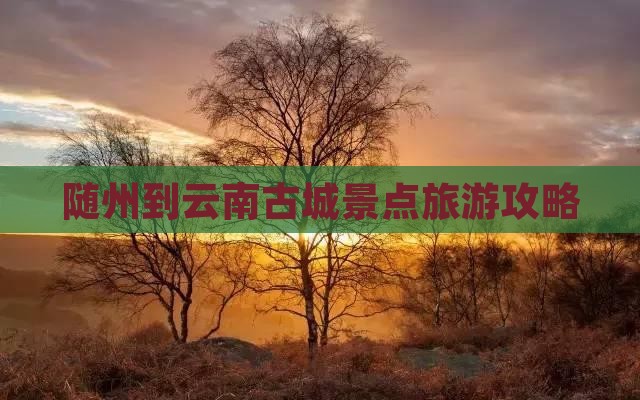 随州到云南古城景点旅游攻略