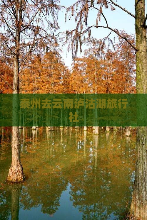 泰州去云南泸沽湖旅行社