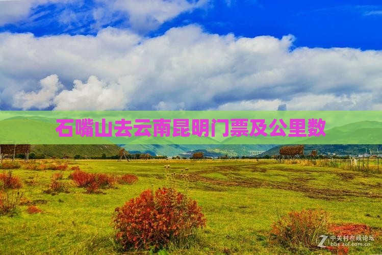 石嘴山去云南昆明门票及公里数