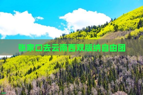 张家口去云南西双版纳自由团