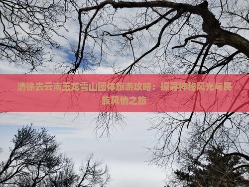 清徐去云南玉龙雪山团体旅游攻略：探寻神秘风光与民族风情之旅