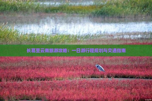 长葛至云南旅游攻略：一日游行程规划与交通指南