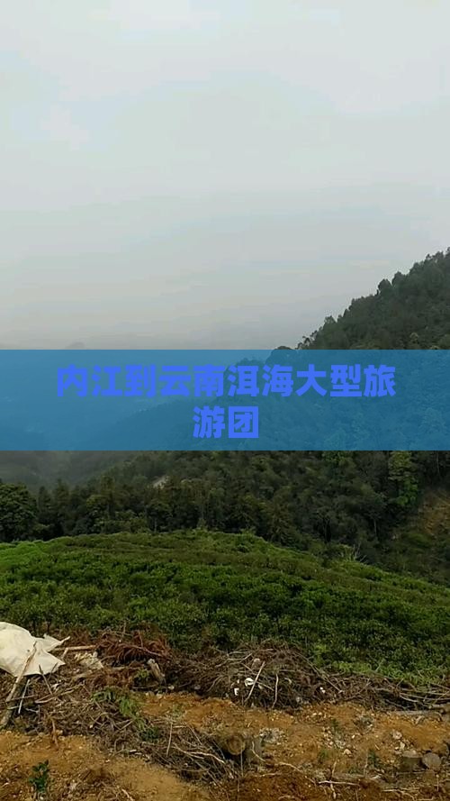 内江到云南洱海大型旅游团