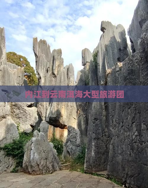 内江到云南洱海大型旅游团