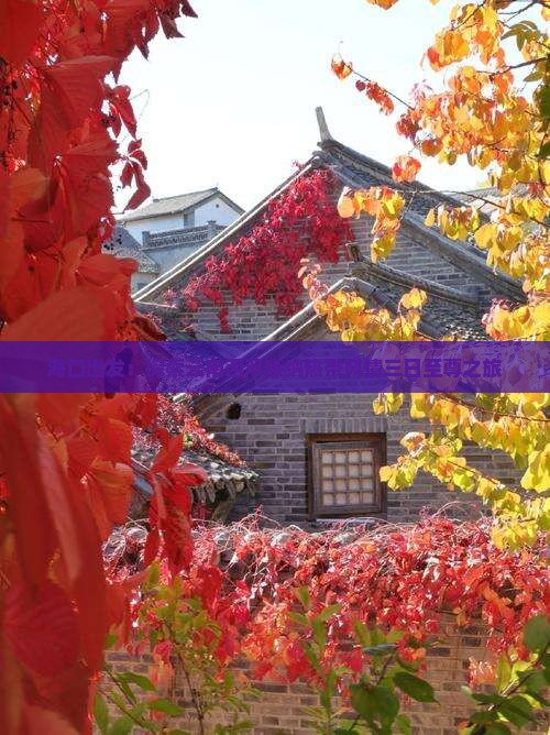 海口出发：探索云南西双版纳热带风情三日至尊之旅