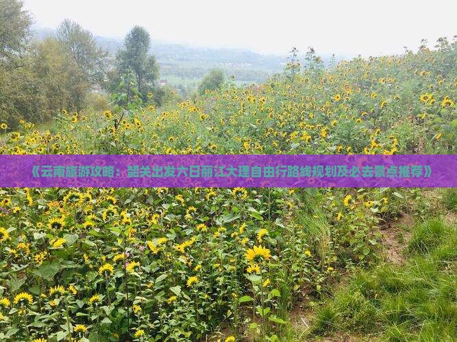 《云南旅游攻略：韶关出发六日丽江大理自由行路线规划及必去景点推荐》