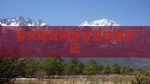 春天到云南香格里拉哪里玩