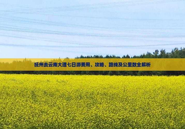抚州去云南大理七日游费用、攻略、路线及公里数全解析