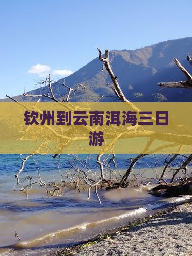 钦州到云南洱海三日游