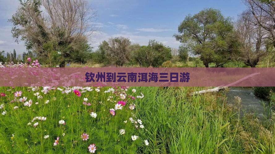 钦州到云南洱海三日游