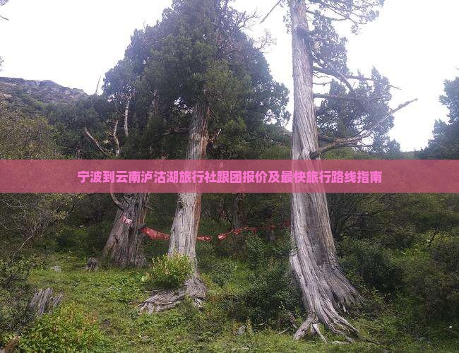 宁波到云南泸沽湖旅行社跟团报价及最快旅行路线指南