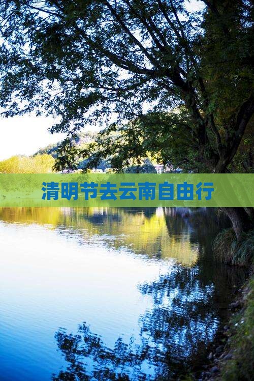 清明节去云南自由行