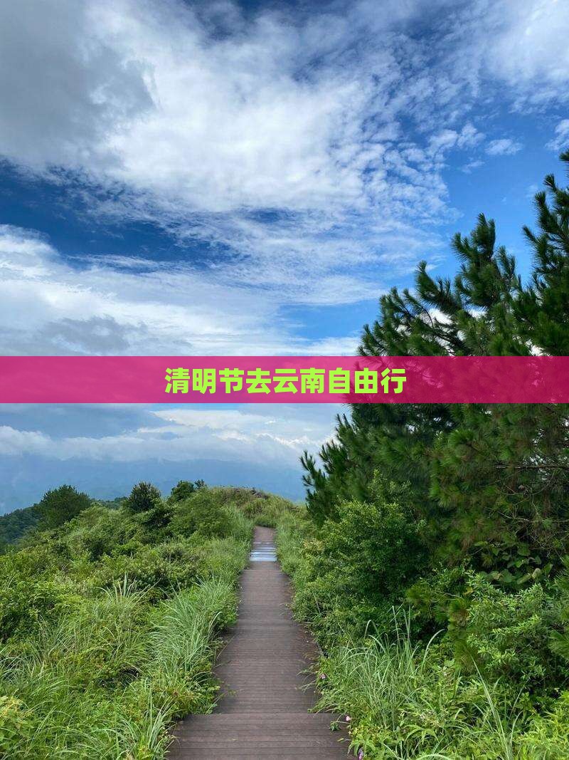 清明节去云南自由行