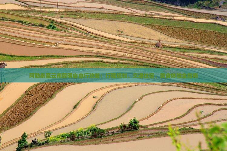 阿勒泰至云南昆明自由行攻略：行程规划、交通住宿、美食体验全指南