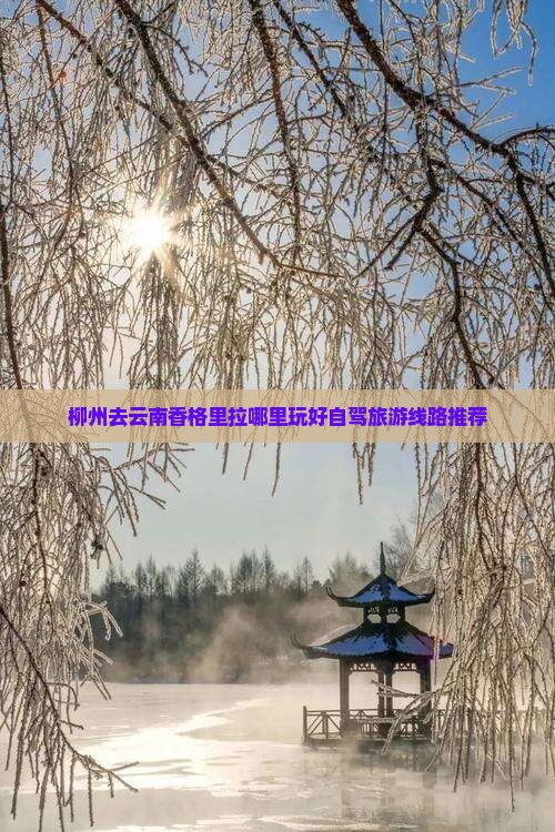 柳州去云南香格里拉哪里玩好自驾旅游线路推荐