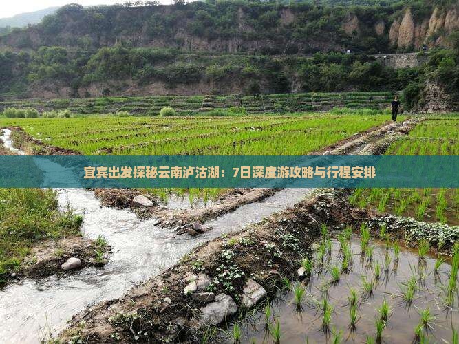 宜宾出发探秘云南泸沽湖：7日深度游攻略与行程安排