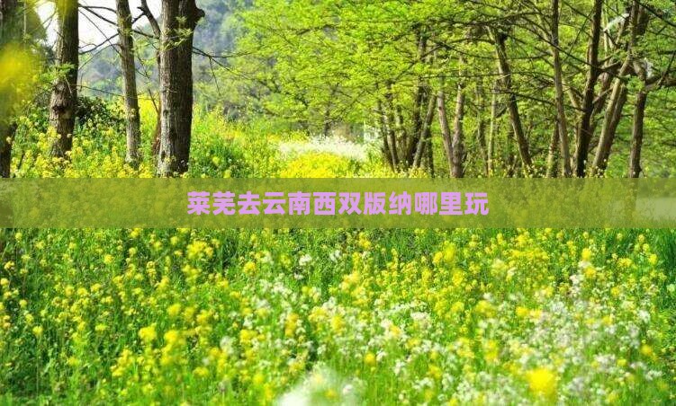 莱芜去云南西双版纳哪里玩