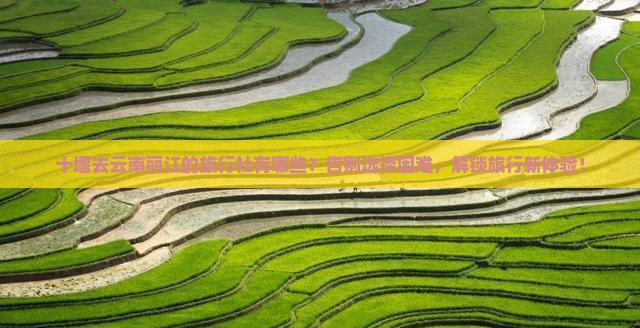 十堰去云南丽江旅行社
