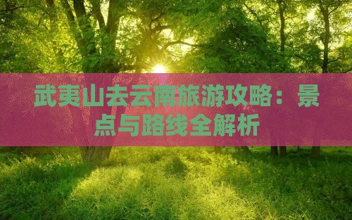 武夷山去云南古城旅行社