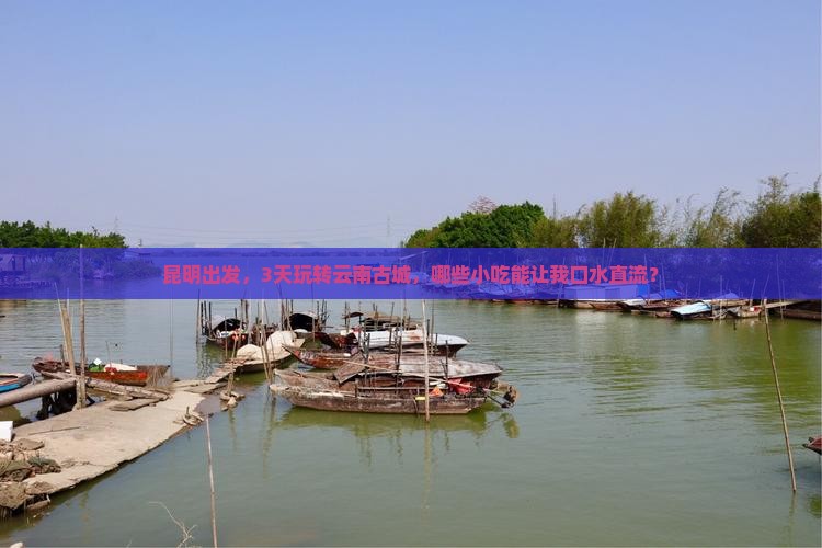 昆明去云南古城旅游小吃