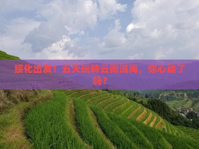 绥化到云南洱海五日游