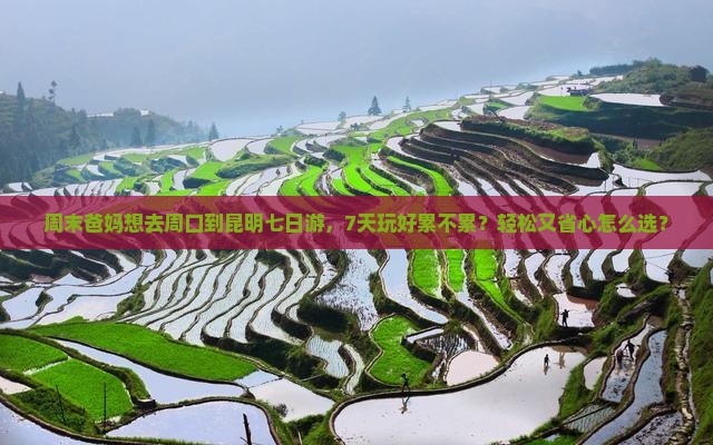 周口到云南昆明七日游