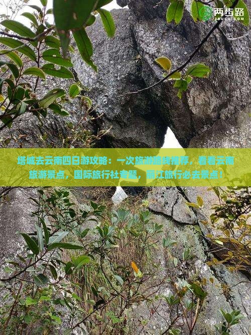 塔城去云南四日游