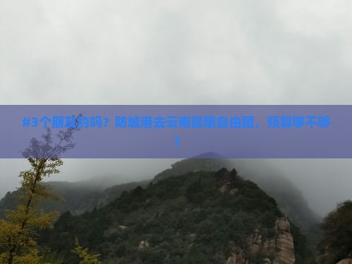 防城港去云南昆明自由团