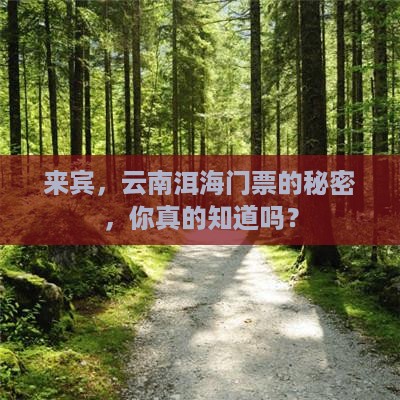 来宾去云南洱海门票