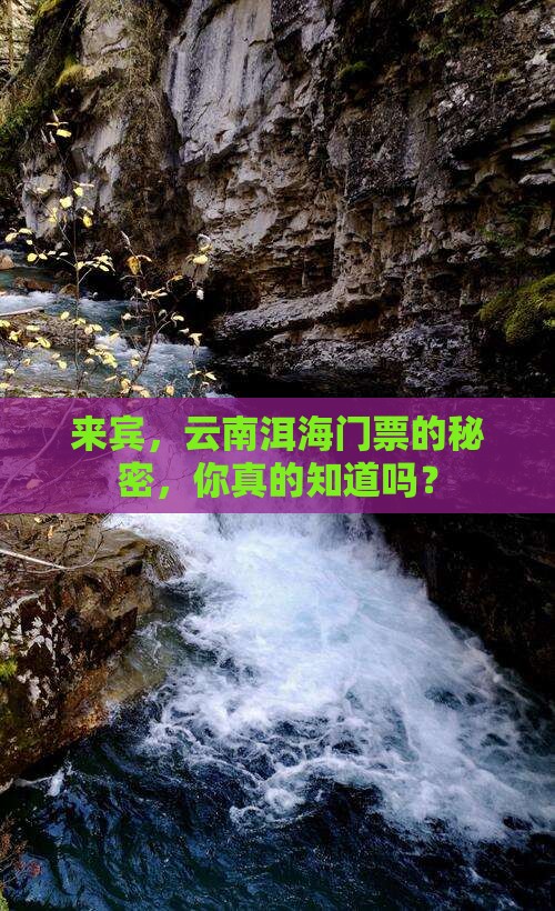 来宾去云南洱海门票