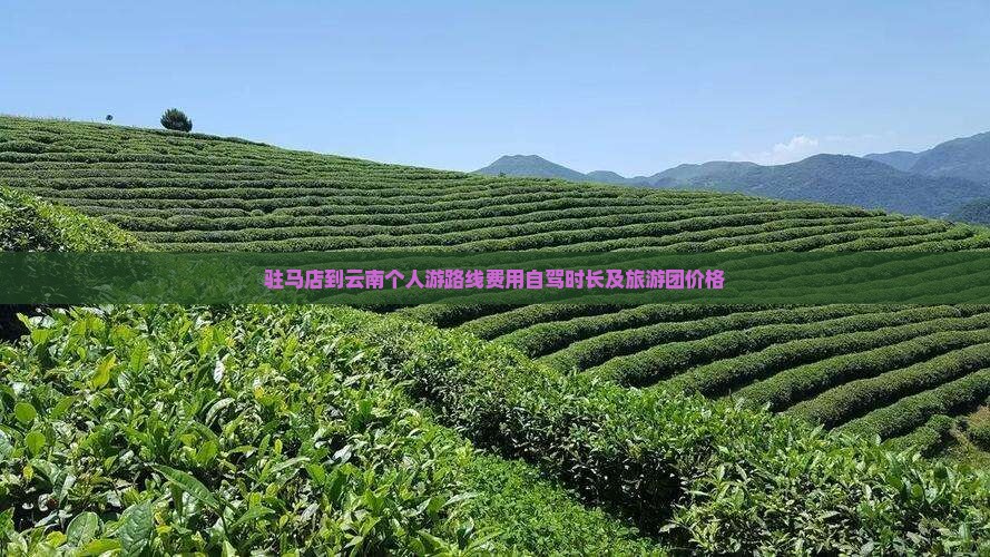 驻马店到云南个人游