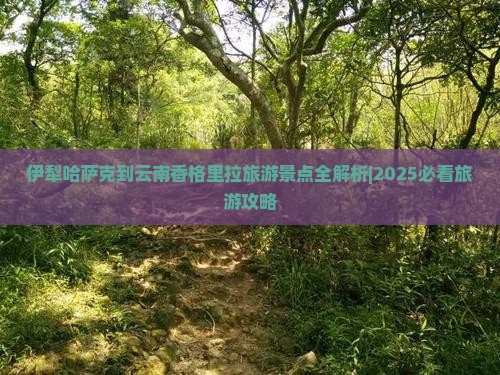 伊犁哈萨克去云南香格里拉团体旅游