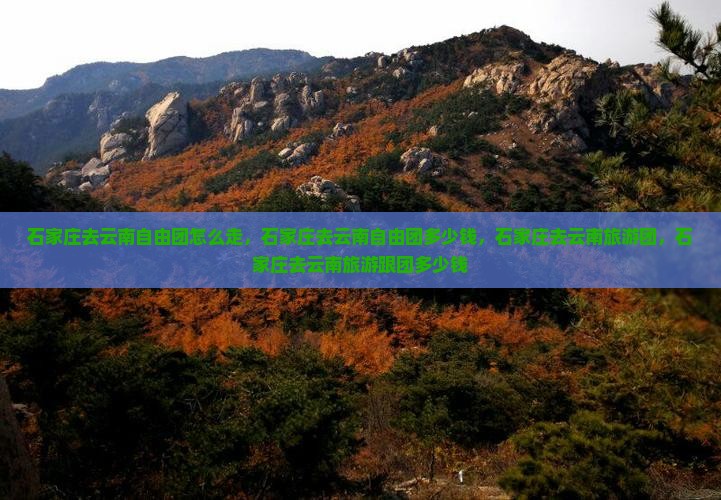 石家庄去云南自由团
