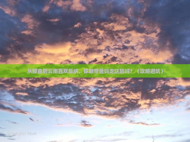 那曲到云南西双版纳大型旅游团